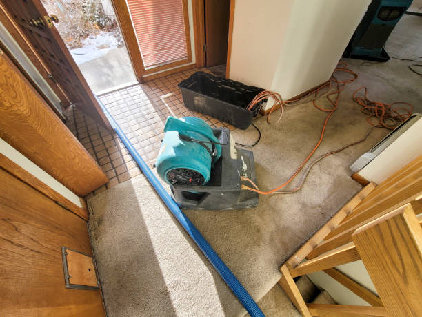 Best Water damage cleanup near me  in Orting, WA
