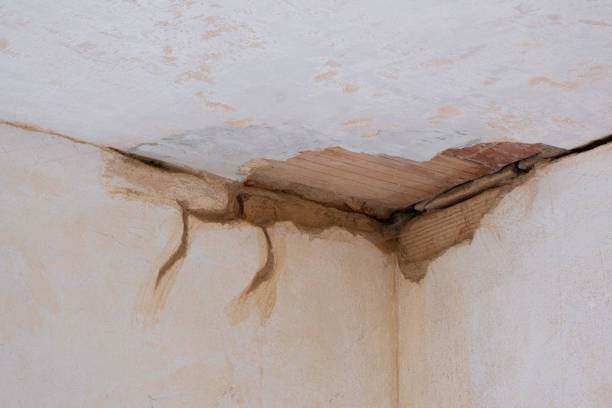 Best 24-hour water damage restoration  in Orting, WA
