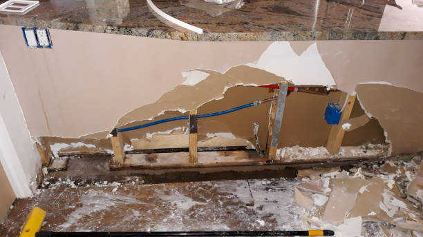 Best Water damage restoration company  in Orting, WA