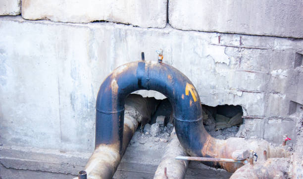 Best Flood damage cleanup  in Orting, WA