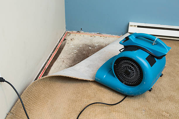 Best Emergency water damage restoration  in Orting, WA